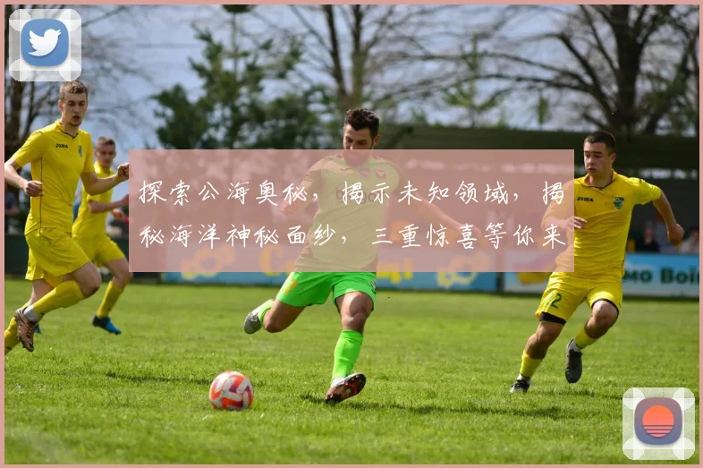 探索公海奥秘，揭示未知领域，揭秘海洋神秘面纱，三重惊喜等你来发现。