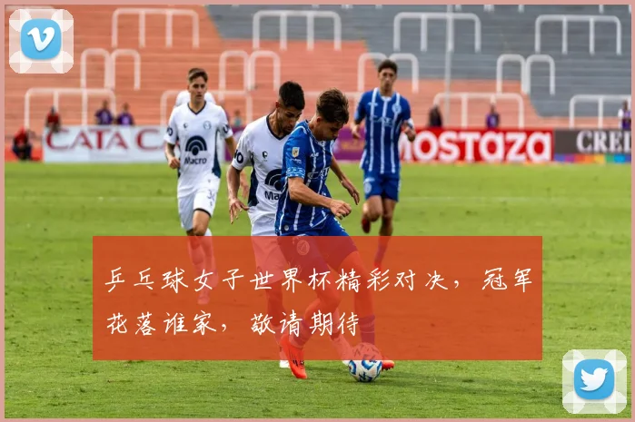 乒乓球女子世界杯精彩对决，冠军花落谁家，敬请期待