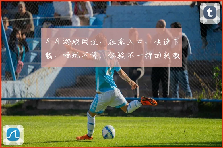 牛牛游戏网址，独家入口，快速下载，畅玩不停，体验不一样的刺激逗趣