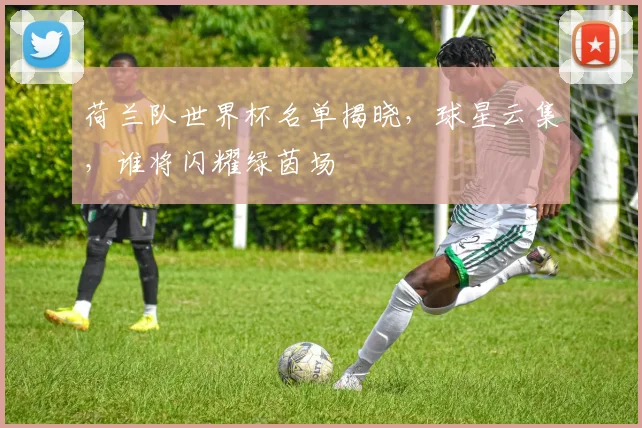 荷兰队世界杯名单揭晓，球星云集，谁将闪耀绿茵场